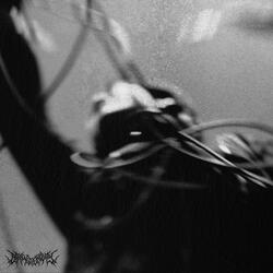 THEY CALLED US FOR THE SIGNS