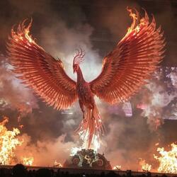 Rise like a Phoenix (Tomorrowland)