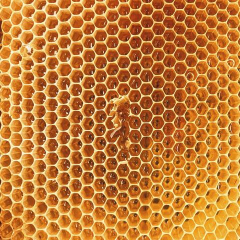 Rimsky-Korsakov: Flight of the Bumblebee