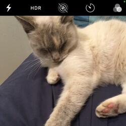 Goodnight Bro. (156th)