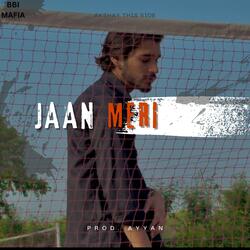 Jaan Meri