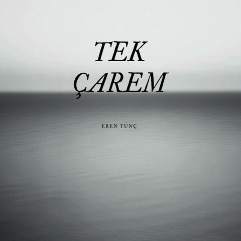 Tek Çarem