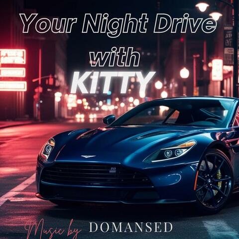 Your Night Drive Kitty