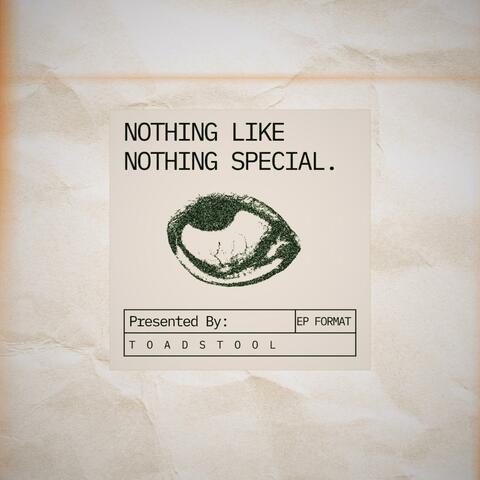 NOTHING LIKE NOTHING SPECIAL