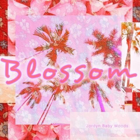 Blossom
