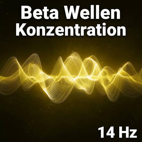 Beta Wellen Konzentration (14 Hz)