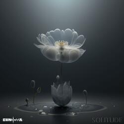 Solitude