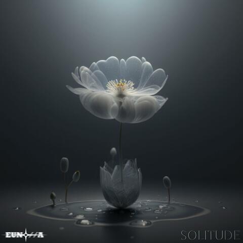 Solitude