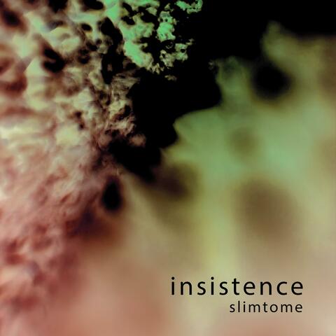 insistence