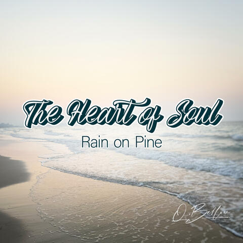 Rain on Pine