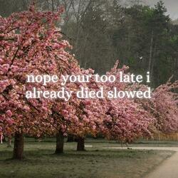 nope your too late i already died slowed
