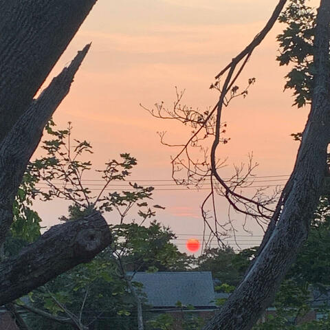 Lay up (feat. Ibboog)