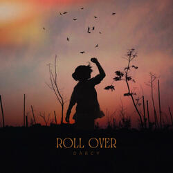 Roll Over (Radio Edit)