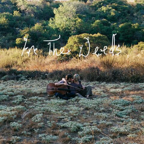 In The Weeds