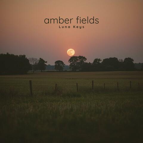 Amber Fields