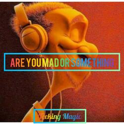 Are you mad or something (Radio Edit)