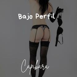 Bajo Perfil