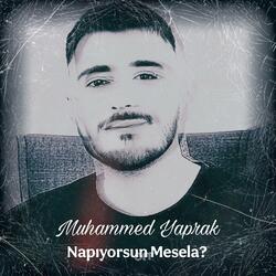 Napıyorsun Mesela?