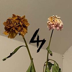 in my dreams, we crossed paths again...