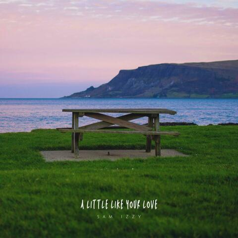 A Little Like Your Love