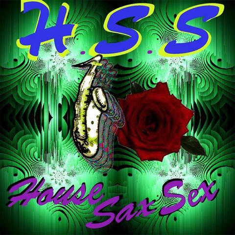 H.S.S (House Sax Sex)