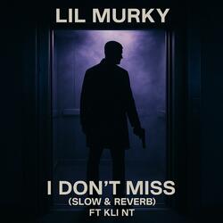 I Don't Miss (feat. Kli Nt) (Slow & Reverb)