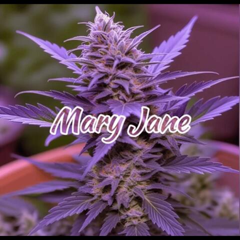 Mary Jane  (Slowed + Reverb)