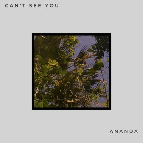 Can't See You