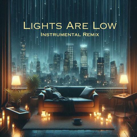 Lights Are Low (Instrumental Remix)