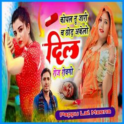 कोयल तू जारी छ छोड़ अकेलो दिल रोज रोवगो