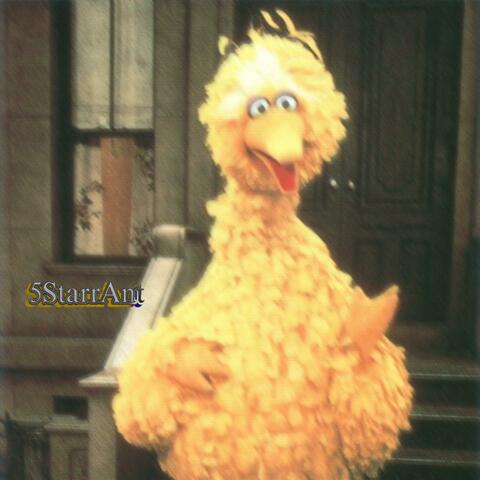 Big Bird