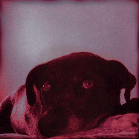 Violeta (Single Version)