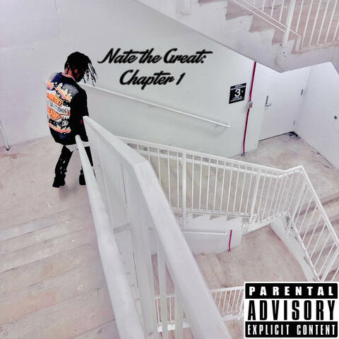 Nate the Great - Chapter I