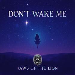 DON’T WAKE ME