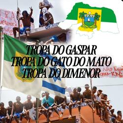 Tropa do Gaspar Tropa do Gato do Mato Tropa do Dimenor SDC