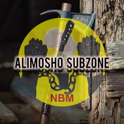 NBM JOLLY ALIMOSHO subzone