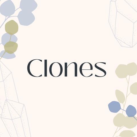 Clones