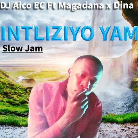 Intliziyo yam