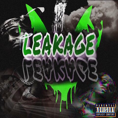 Leakage