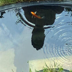 Take me back to hollywood