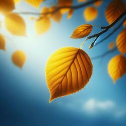 The last leaf falls