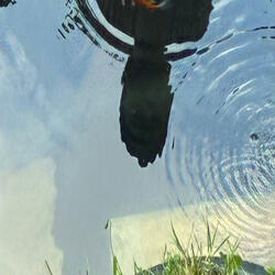 You make me feel like I should