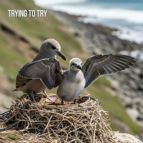 Trying To Try (feat. Raika Davoix) [Extended]