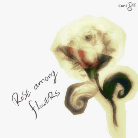 rose among flowers