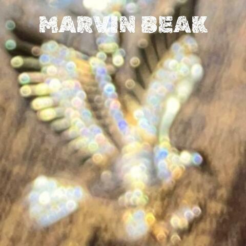 MARVIN BEAK