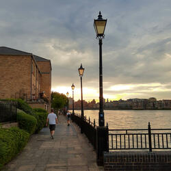 I Agree to The Terms