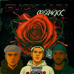 Fuck Luv (feat. Makenzo Houshi & Curia) (REMIX)