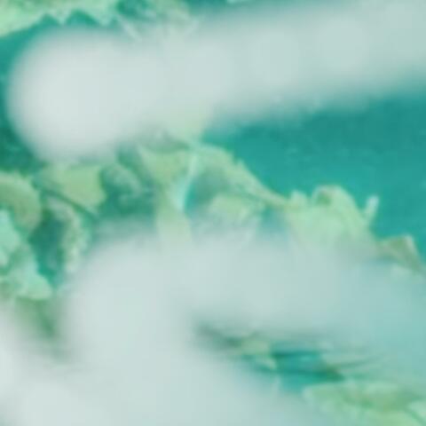 Salt&seaweed