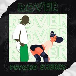 Rover