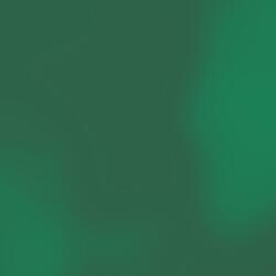 frolicking to the internet café